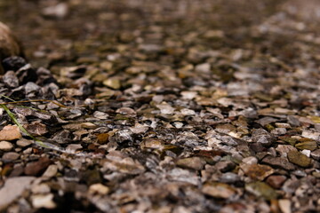 gravel in the stream of water