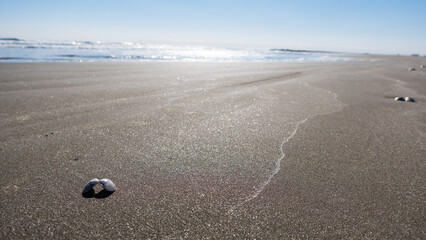 海岸の砂浜と貝がら