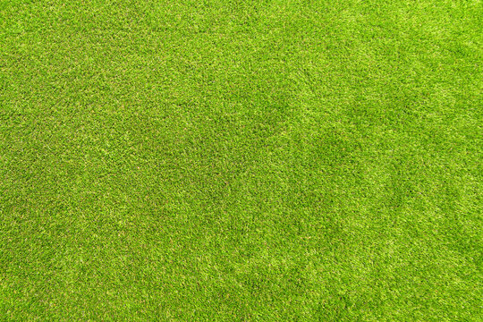 Artificial grass laid in a garden. No people. Copy space.