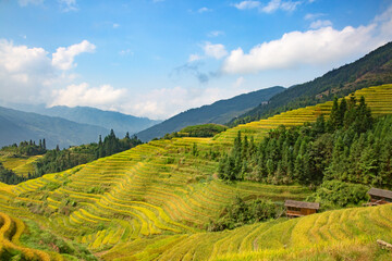 Fototapeta na wymiar Longji Rice Terraces