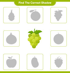 Find the correct shadow. Find and match the correct shadow of Grape. Educational children game, printable worksheet, vector illustration