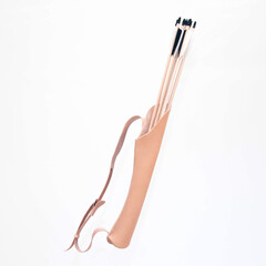 Quiver with arrows on white background