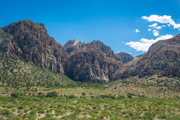 Fototapeta na wymiar Red Rock Canyon National Park, Nevada, USA