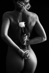 Midsection Of Sensuous Naked Woman Holding Rose While Standing Against Black Background