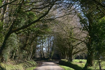 Fototapeta premium Paysage de campagne à Barré Briec en Bretagne Finistère Cornouailles France 