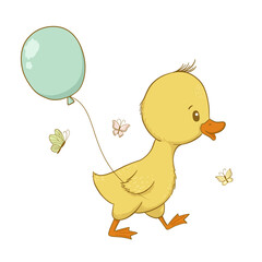 Cute baby duck isolated on white background