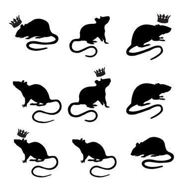 Silhouette of a rats black clipart