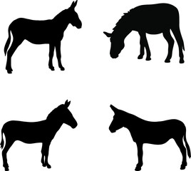 silhouettes of a donkey. black vector clipart