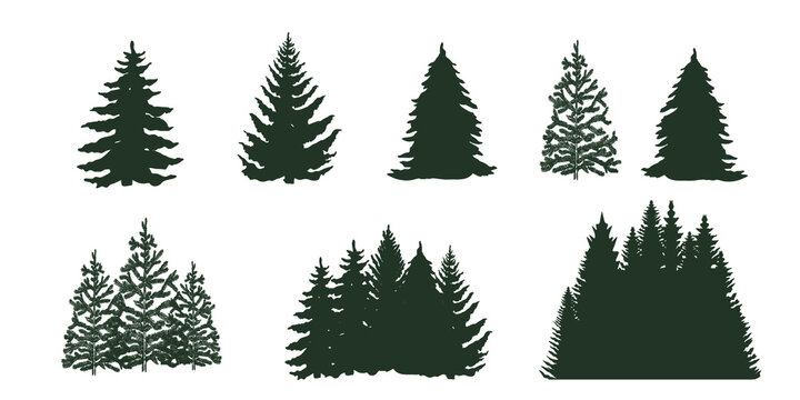Collection of trees isolated on white. Vector illustration.