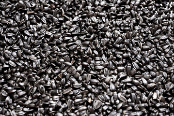 Roasted sunflower seeds equipment at modern factory