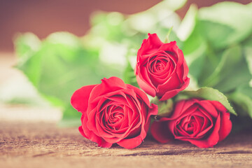 valentines background