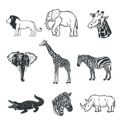 Collection of african animals isolated on white. Vector illustration.