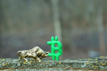 Metal bull and Bitcoin sign close-up.