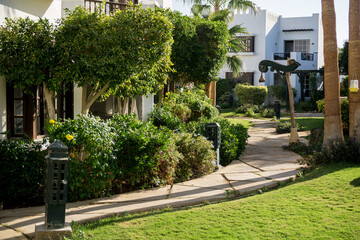 Fototapeta na wymiar Luxury landscape design of the summer garden