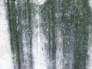 Dark green streaks on a gray granular surface. Stock background with grungy texture.
