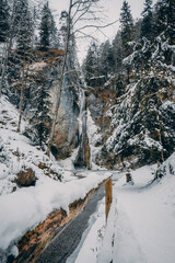 Winterlandschaft in den Bergen von Österreich mit Mühle und Wasserfall
