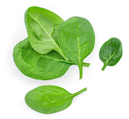 Spinach leaves isolated on white background. Various Spinach leaf Macro. Top view. Flat lay..