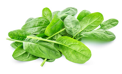 Spinach leaves isolated on white background. Various Spinach leaf Macro. Top view. Flat lay..
