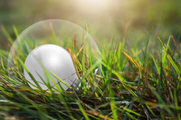 Light bulb on grass with green blured. saving  protect, environment, arbor day, card for world earth day,  conservation.