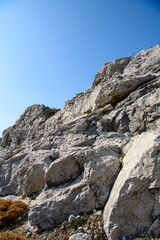 白崎海洋公園　岩