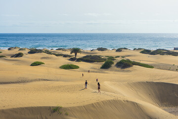 Fototapeta na wymiar Maspalomas dunes, Gran Canaria, Canary Islands, Spain