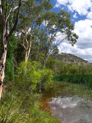 A view of Dunns Swamp in NSW, Australia