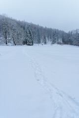 Fototapeta na wymiar Forest meadow covered in snow - Slovak paradise Slovakia