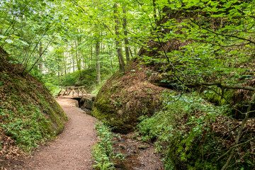 Hiking trail and stream in the Drachenschlucht near Eisenach