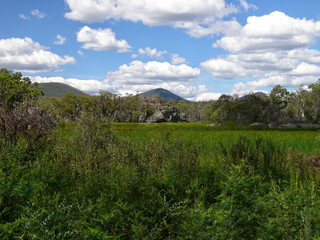 landscape with trees and clouds