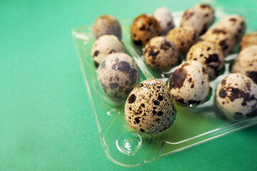 Obraz premium many small brown and gray quail eggs lie in an open plastic transparent container on a green background side view
