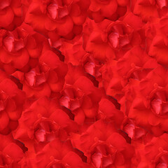 Red roses pattern