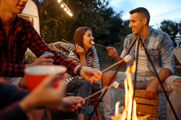 Friends having fun by campfire, picnic at camping