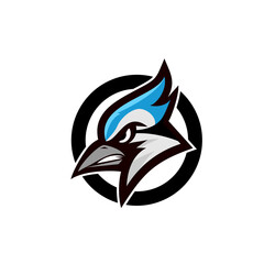 blue jay bird color head mascot logo icon designs vector illustration