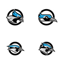 set collection blue jay bird color head mascot logo icon designs vector illustration	