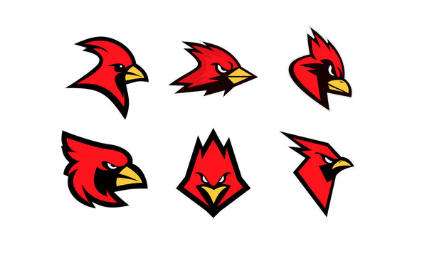 set collection cardinal bird red logo with black background icon design vector illustration