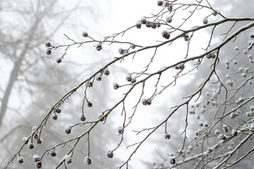Wintertime