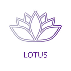 lotus flower vector logo