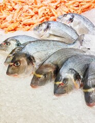 fresh fish on ice