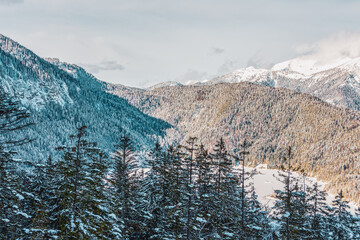 snowy mountains and trees in the alps. View of the lake Eibsee. Germany.