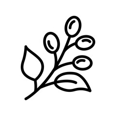 Coffee plant with leaf and beans icon. Coffee symbol vector sign isolated on white background illustration for graphic and web design