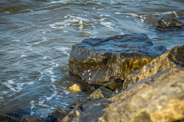 Scenic view of rocks with the Bay of Bengal in the background along Kovalam Beach, Chennai, India