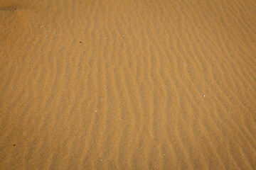 View of fine beach sand with wave design caused by wind, Chennai, India