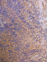 Old metal iron rust background texture blur