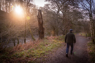 man walking his dog at sunset in scottish woods