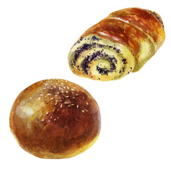 Watercolor illustration, bun set. Rich pastries. Sesame seed bun. Poppy seed bun. - 411500719