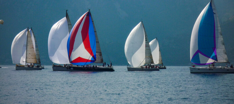 sail boat yacht race regatta with multi colorful spinnaker sails and mountain background