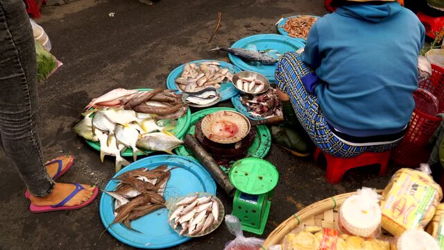 Raw Seafood stand at open air Market, Hoi An, Vietnam