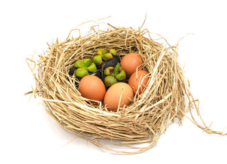 sweet mangosteen fruit and eggs orange oval shape food on nest. chicken egg in straw isolated on white background. High protien for helthy.