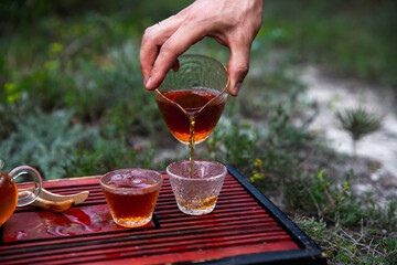 Process brewing Tea. Chinese Tea ceremony
