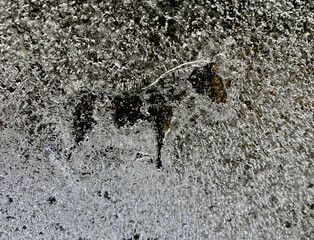 Ice horse 1